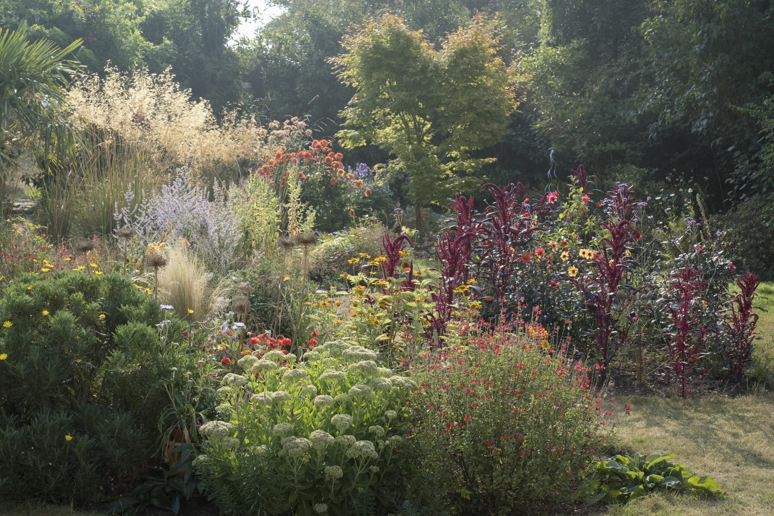 Summer garden with early morning mist